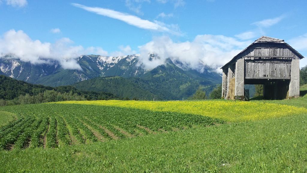 Apartmaji Pr-Gujlu Sela Nad Podmelcem 5220 Tolmin Podmelec Buitenkant foto